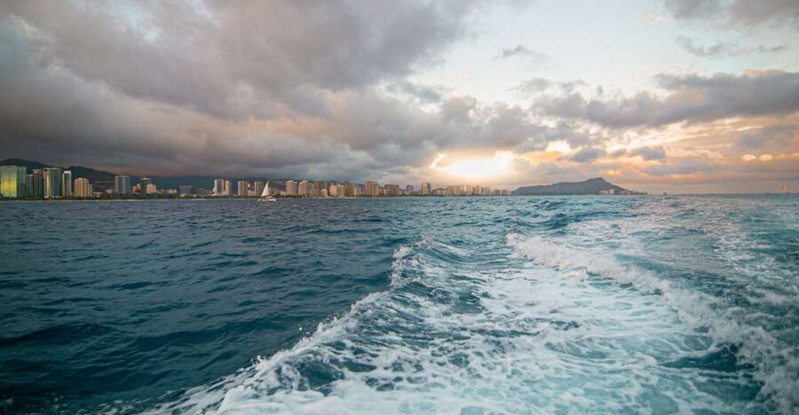 Oahu: BYOB or Cash Bar Waikiki Sunset Cruise - When things get extra special: whales, dolphins, and surprises