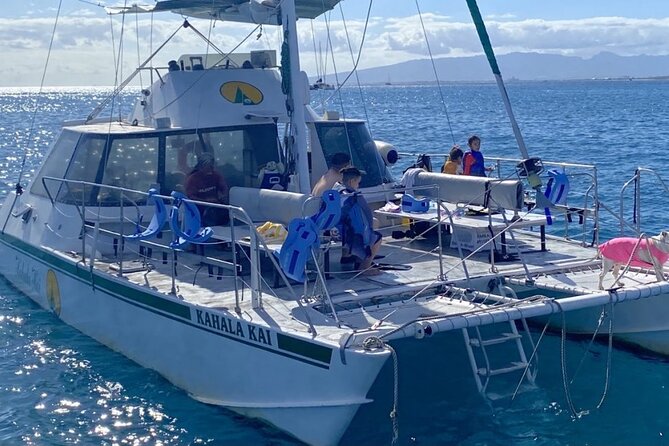 Oahu Catamaran Snorkel Tour: See Turtles 100% Guaranteed - Turtle Canyon Reef and that 100% turtle-sighting focus