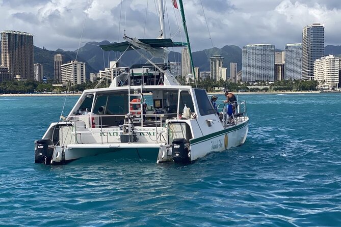 Oahu Catamaran Snorkel Tour: See Turtles 100% Guaranteed - Beyond turtles: dolphins, whales, octopus, and more when conditions cooperate