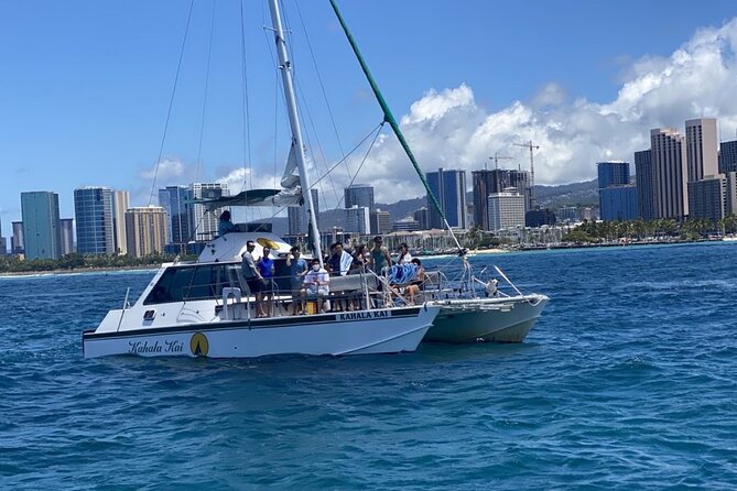 Oahu Catamaran Snorkel Tour: See Turtles 100% Guaranteed - The two-hour flow: what you’ll actually do