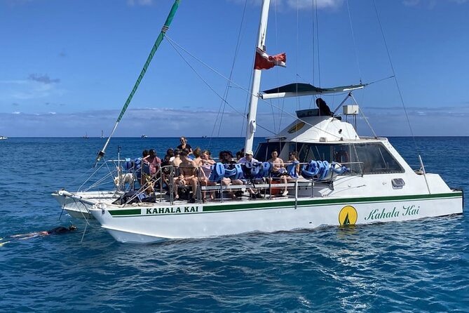 Oahu Catamaran Snorkel Tour: See Turtles 100% Guaranteed - Price and booking timing: is $49.95 a fair value?