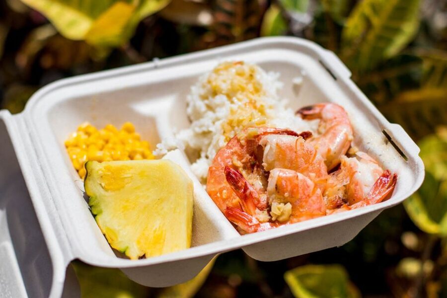 Oahu: Circle Island Day Trip with Shrimp Plate Lunch - A fast way to see Oahu without renting a car