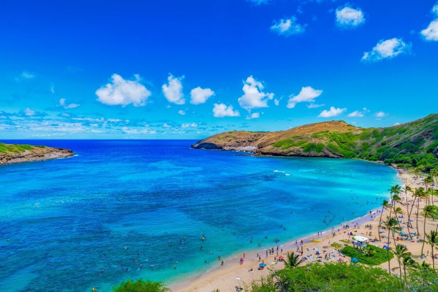 Oahu: Circle Island Top Sights Full-Day Tour w/ Local Guide - Key highlights to know before you go