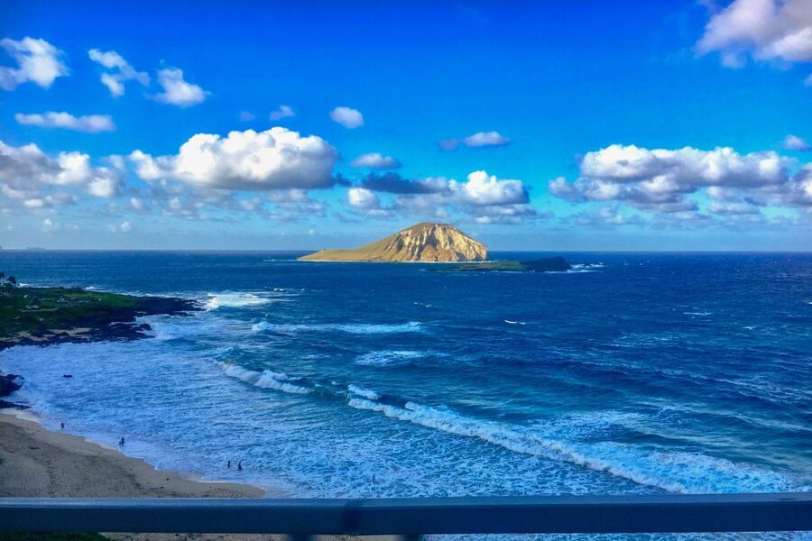 Oahu: Circle Island Top Sights Full-Day Tour w/ Local Guide - Why this Circle Island day tour beats self-driving