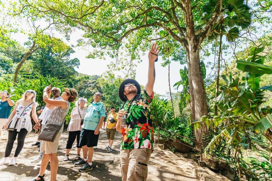 Oahu: Circle Island Tour with Lunch & Waimea Waterfall - Makapuʻu, Pali, and Chinaman’s Hat: Where the Views Hit Hard