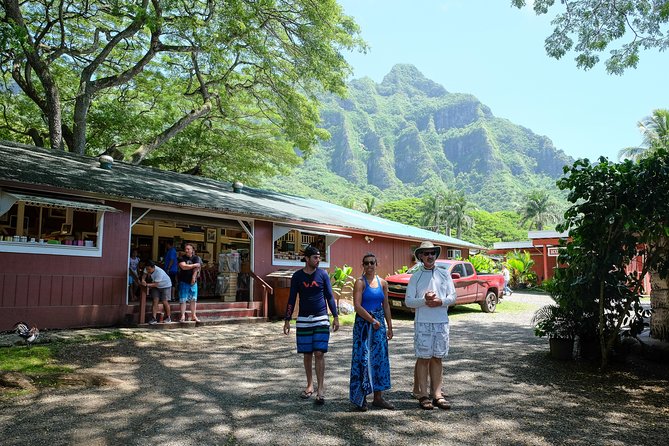 Oahu Circle Island Tour with Waimea Waterfall - North Shore Fruit Stops and Sunset Beach: Food Breaks and Ocean Theater