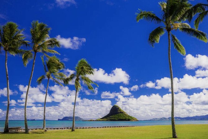 Oahu Circle Island Tour with Waimea Waterfall - Waimea Botanical Gardens and Waterfall: The Main Event (and the Walk)