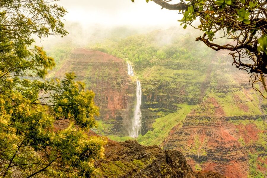 Oahu: Complete Island Tour with Tropical Waterfall Swimming - North Shore surf-country lookouts and wildlife spotting