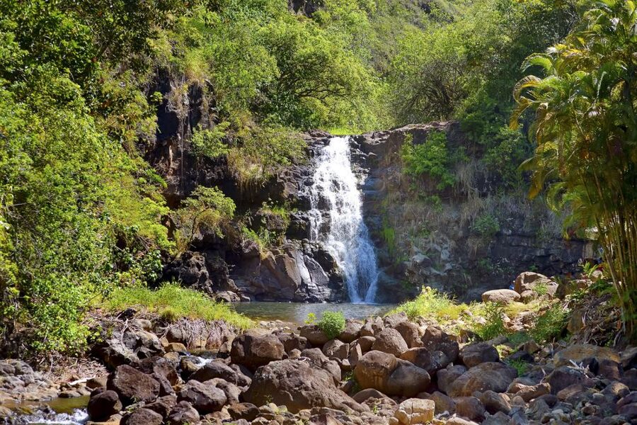 Oahu: Complete Island Tour with Tropical Waterfall Swimming - Kahuku food trucks: where lunch becomes part of the tour