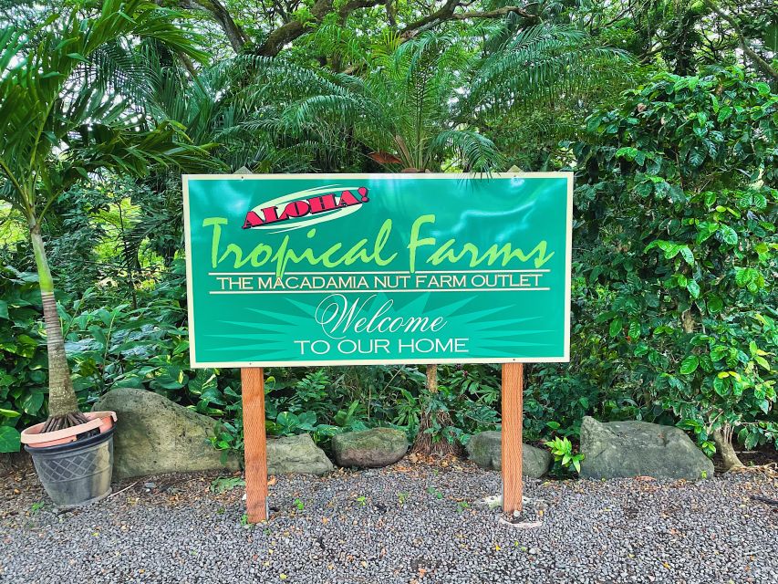 Oahu: Diamond Head Crater Hike and North Shore Experience - Dole Plantation in 45 Minutes: Pineapple Gardens, Dole Whip, and Buying the Souvenir