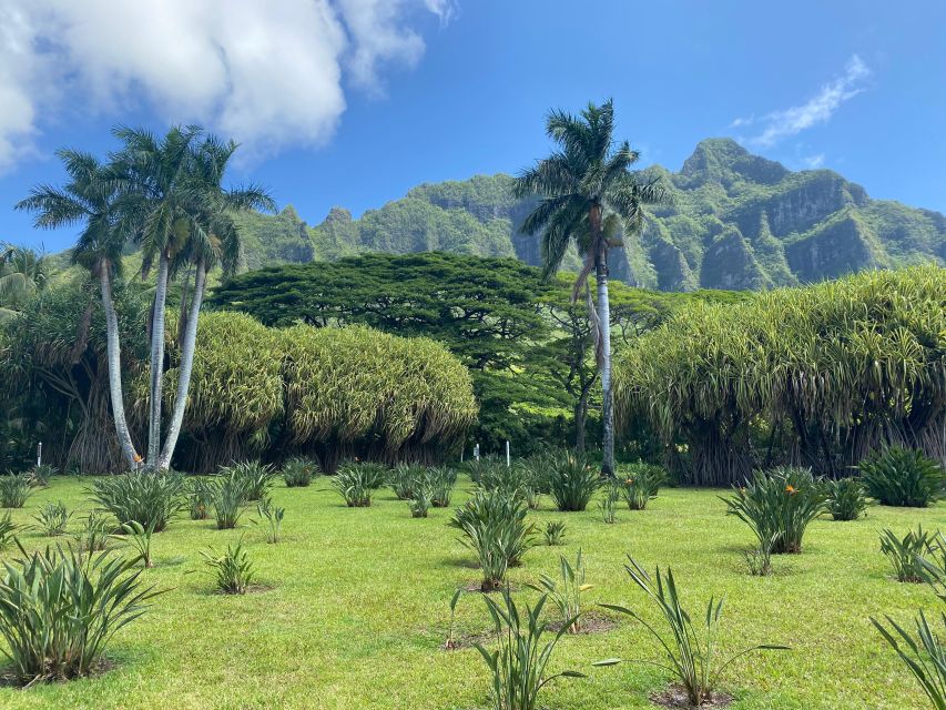 Oahu: Diamond Head Crater Hike and North Shore Experience - Timing and Value: What $125 Buys in a 10-Hour Day