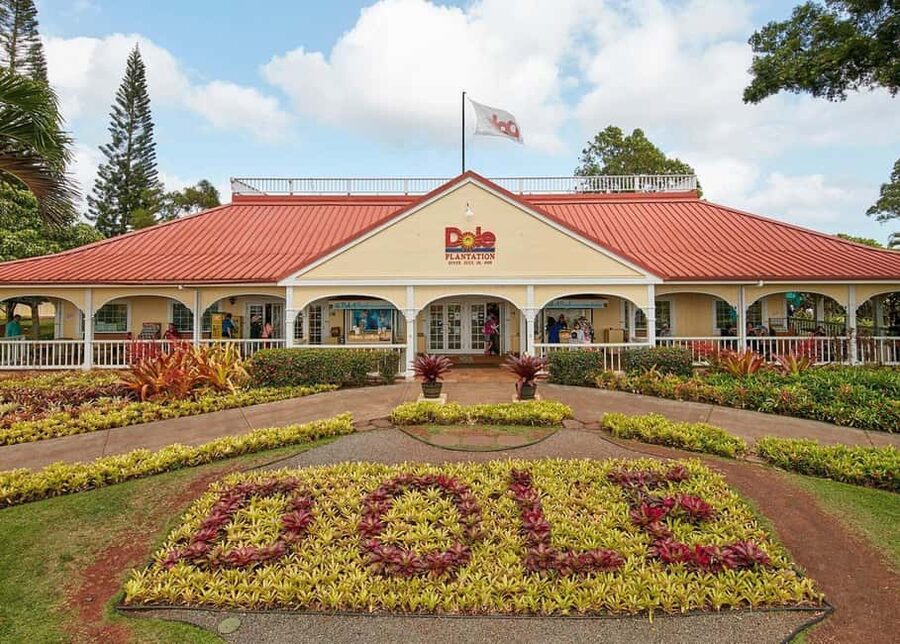 Oahu: Dole Plantation & Haleiwa Express Deluxe Tour - Key things to know before you go