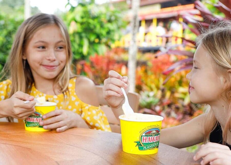 Oahu: Dole Plantation & Haleiwa Express Deluxe Tour - A Smooth Waikiki-to-North-Shore Day on a Deluxe Motorcoach