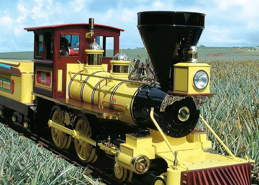 Oahu: Dole Plantation & Haleiwa Express Deluxe Tour - How the 90 Minutes at Dole Actually Works