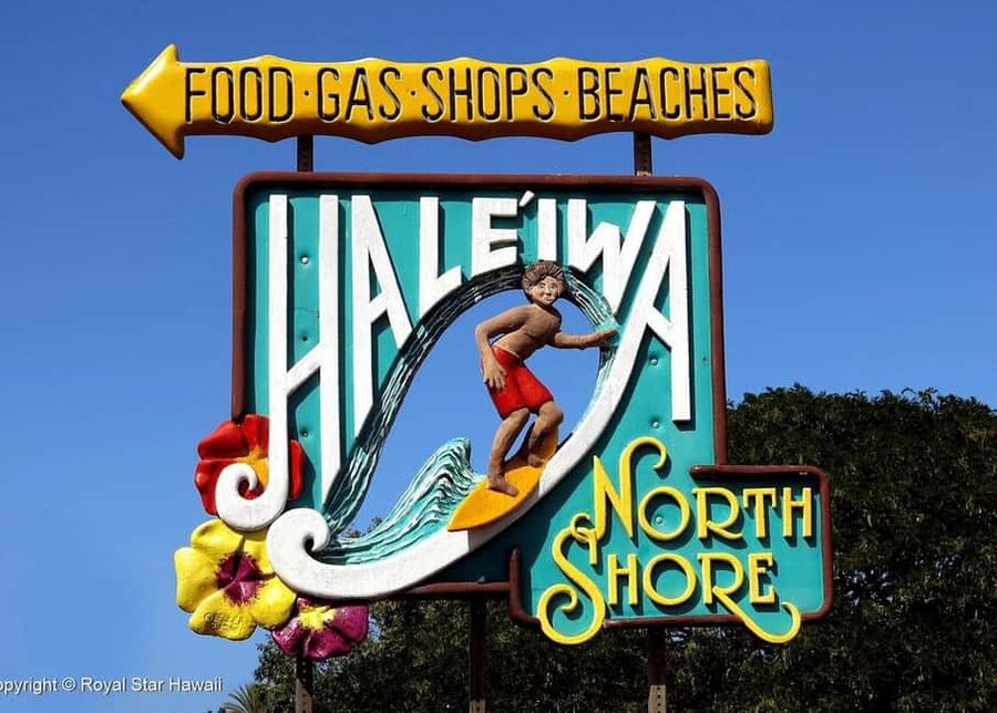 Oahu: Dole Plantation & Haleiwa Express Deluxe Tour - The Honolulu Drive-By: Scenic Viewing Without Detours