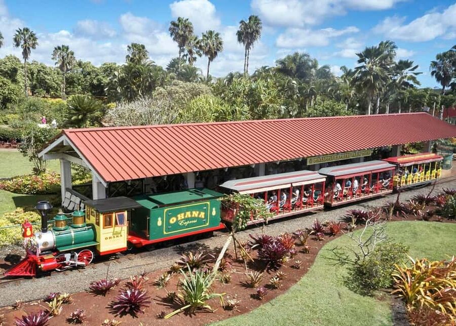 Oahu: Dole Plantation & Haleiwa Express Deluxe Tour - Driver-Guides Matter: How K, Kai, and Chris Improve the Day