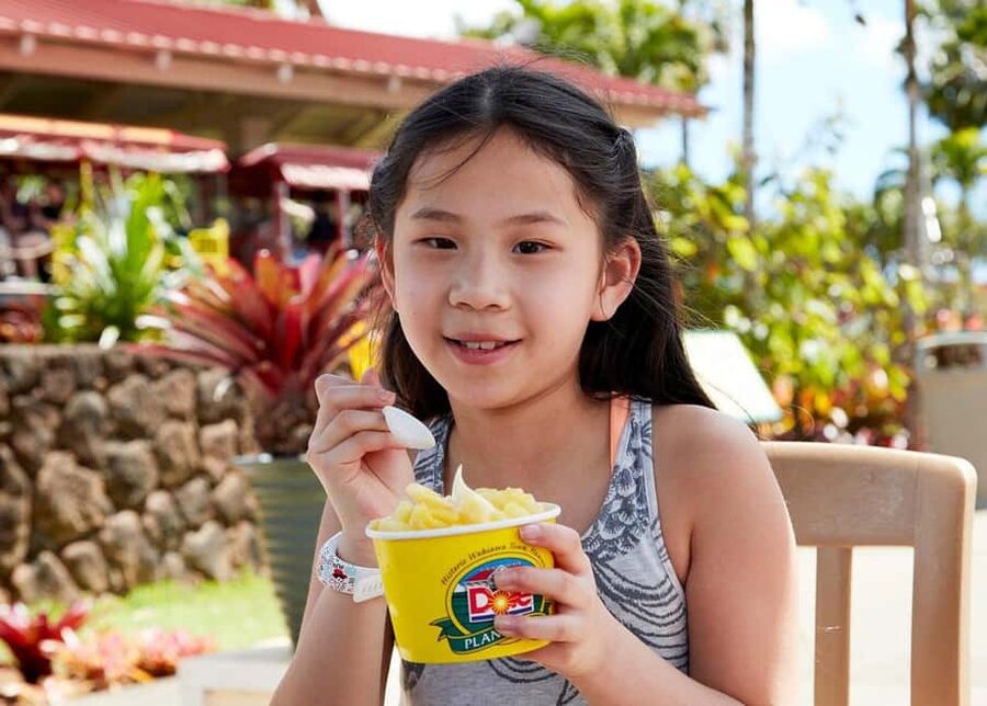 Oahu: Dole Plantation & Haleiwa Express Deluxe Tour - Tips for Enjoying It Without Rushing