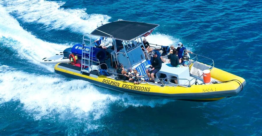 Oahu: Dolphin Swim and Turtle Snorkel Excursion in Waianae - Key takeaways before you go