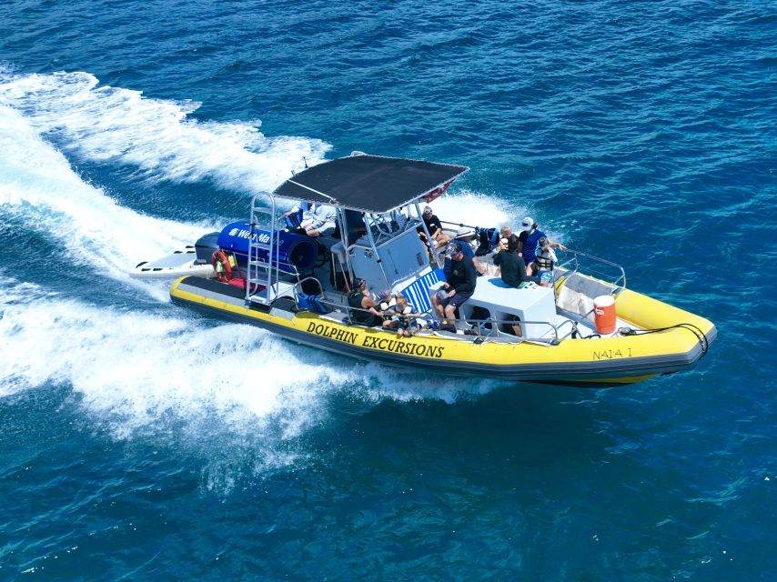 Oahu: Dolphin Swim and Turtle Snorkel Excursion in Waianae - What to bring, what not to do, and how to help your odds