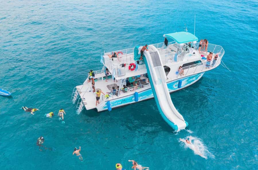 Oahu: Dolphin Watching & Turtle Snorkeling with Waterslide - Key Highlights You’ll Actually Care About