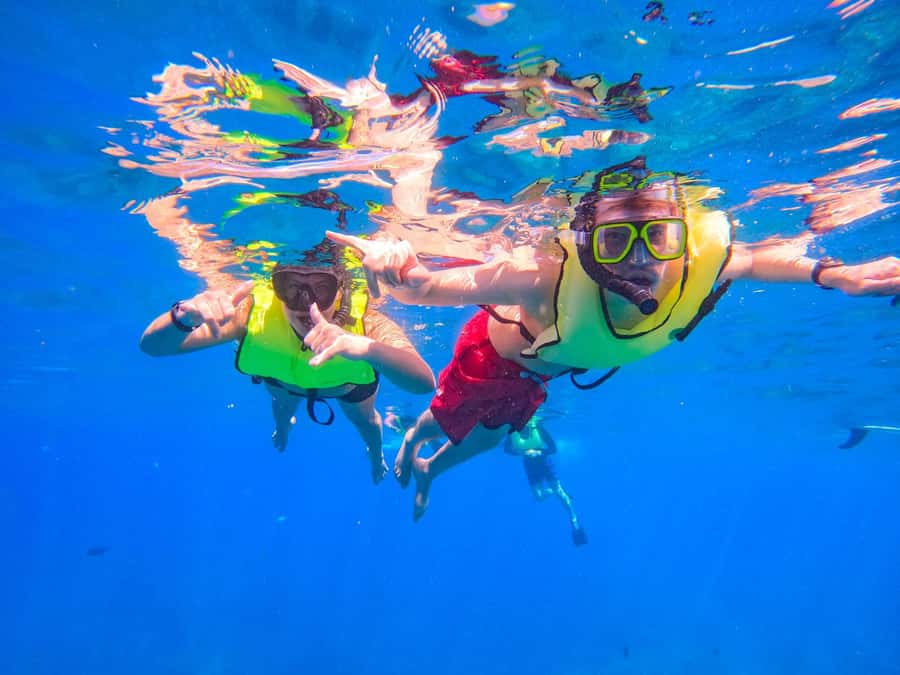 Oahu: Dolphin Watching & Turtle Snorkeling with Waterslide - Who Should Book This Oahu Tour, and Who Should Skip It