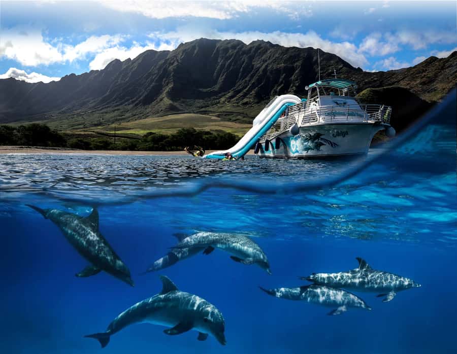 Oahu: Dolphin Watching & Turtle Snorkeling with Waterslide - E Ho Mai, Then Out to Find Spinner Dolphins on Their Terms