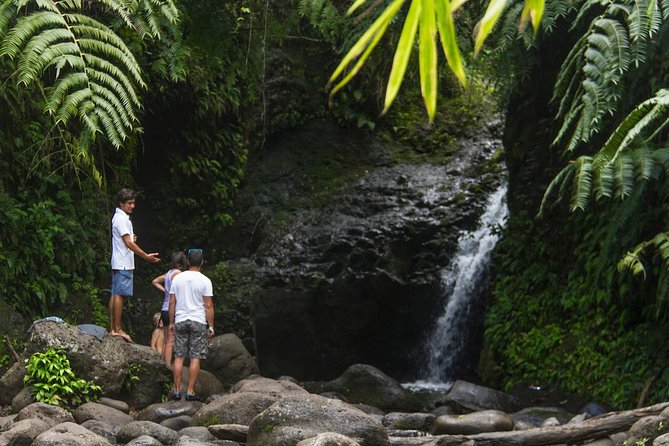 Oahu friendly hiking experience - Key highlights you’ll feel on the trail
