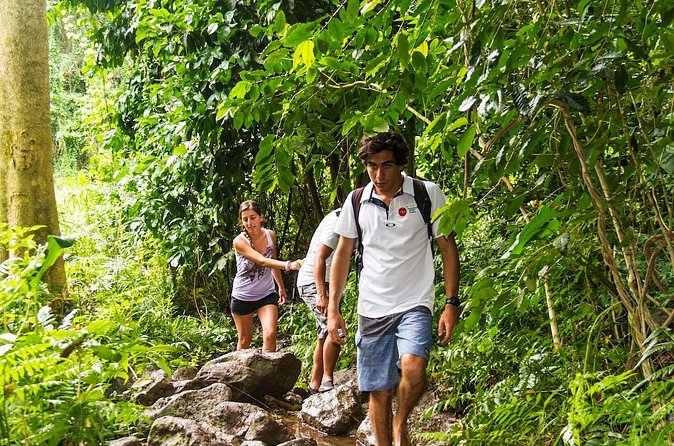 Oahu friendly hiking experience - Koko Crater Botanical Garden: easy walking with plumeria focus