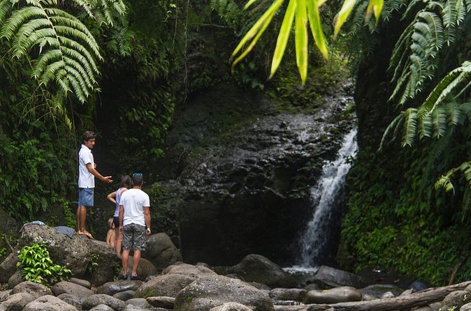 Oahu friendly hiking experience - Maunawili Falls: waterfall time with a longer hike feel