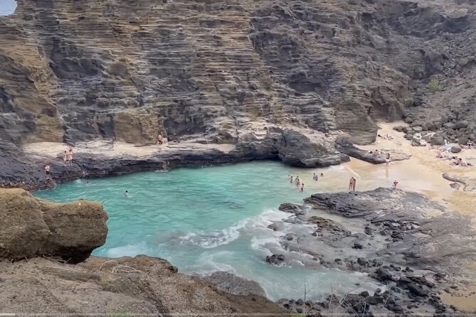 Oahu Guided Circle Island Tour, Swim w/ Turtles, Dole, Blowhole - North Shore Food Stops: Kahuku Shrimp Ponds and Tropical Fruit Breaks