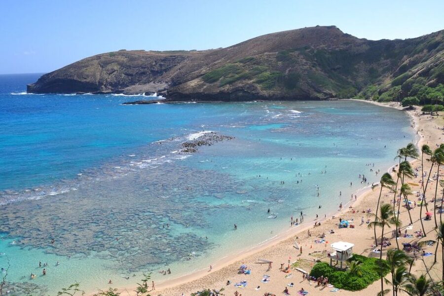 Oahu: Guided Tour of North Shore and Waimea Botanical Garden - What to Bring (and Why Your Day Depends on It)