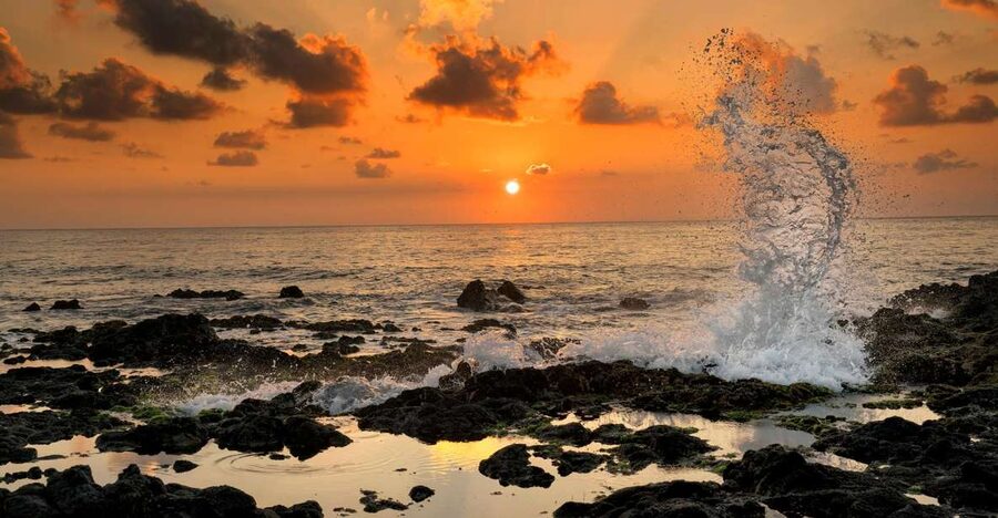 Oahu: Half-Day Sunrise Semi-private Tour from Waikiki - Sunrise from Waikiki: your first hour (before the crowds wake up)