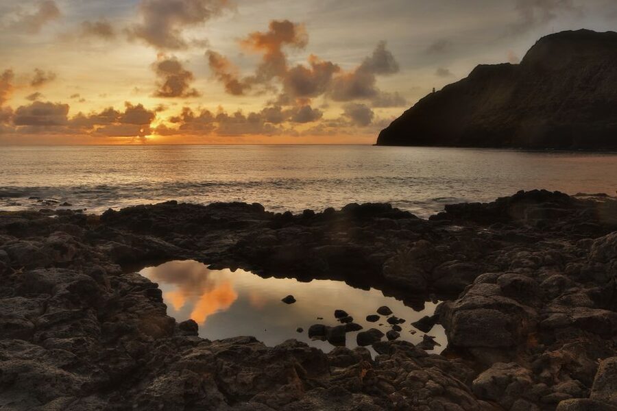 Oahu: Half-Day Sunrise Semi-private Tour from Waikiki - Scenic drive with real viewpoint power: Lanai Point, Makapu’u, Pali