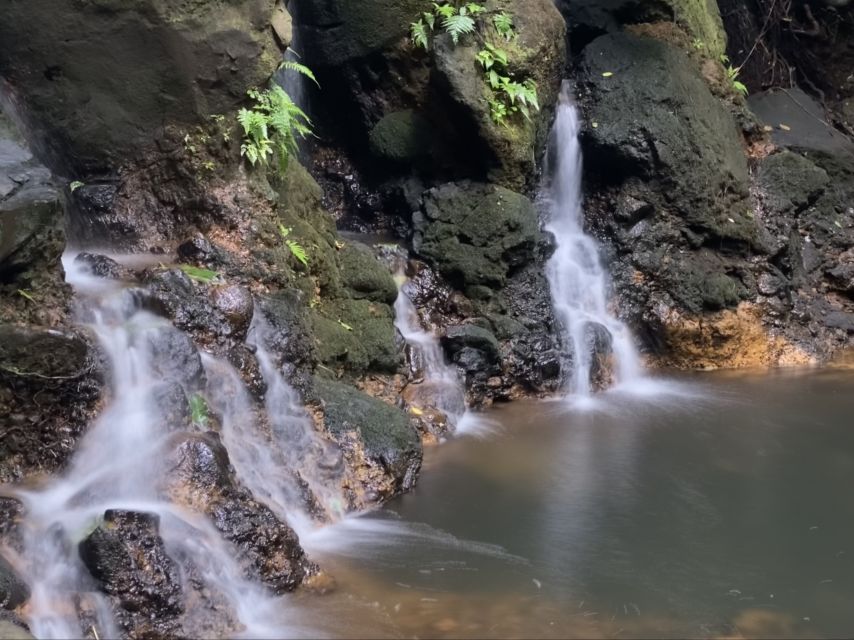 Oahu: Half-Day Sunrise Semi-private Tour from Waikiki - Making the most of the tour: simple choices that boost your photos