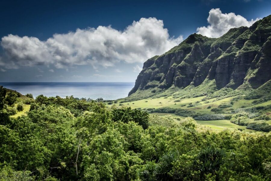 Oahu Hidden Gems & Waimea Botanical Garden/Waterfall tour - Key Highlights You’ll Feel Right Away