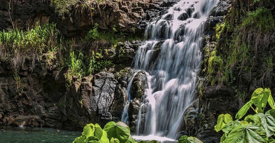 Oahu Hidden Gems & Waimea Botanical Garden/Waterfall tour - What This Tour Really Does: Big-Range Oahu in One Day