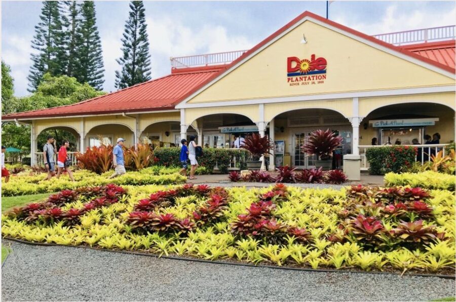 Oahu Hidden Gems & Waimea Botanical Garden/Waterfall tour - Macadamia Nut Farm: A Quick Look, a Real Chance to Taste