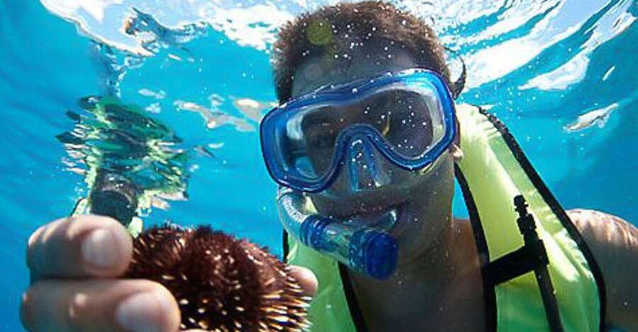 Oahu: Hilton Hawaiian Village Snorkel Tour - Key reasons this Oahu snorkel feels worth your time