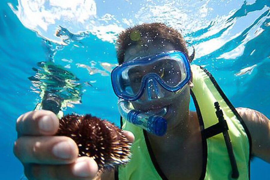 Oahu: Hilton Hawaiian Village Snorkel Tour - Snorkeling for sea turtles and reef fish in warm Oahu water