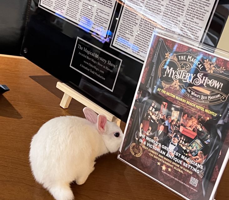 Oahu: Hilton Waikiki Beach Hotel Magical Mystery Show - Who this fits best in Waikiki—and who should skip it