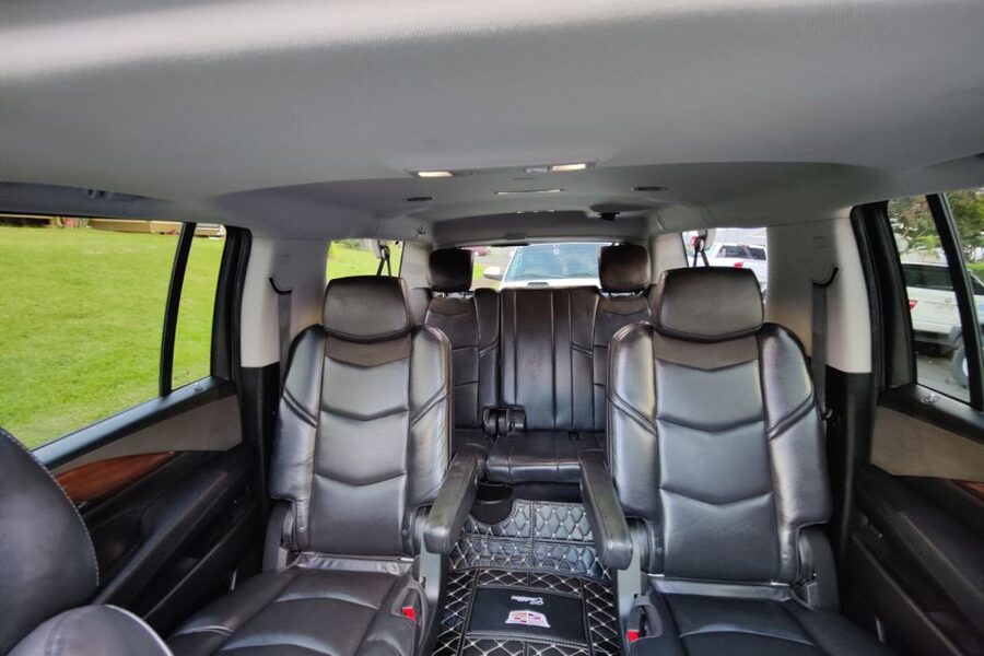 Oahu: Honolulu Airport Private by Escalade SUV - Who This Transfer Fits Best