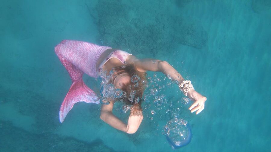 Oahu: Honolulu Mermaid Snorkel Adventure with Videos - Key Points You’ll Care About