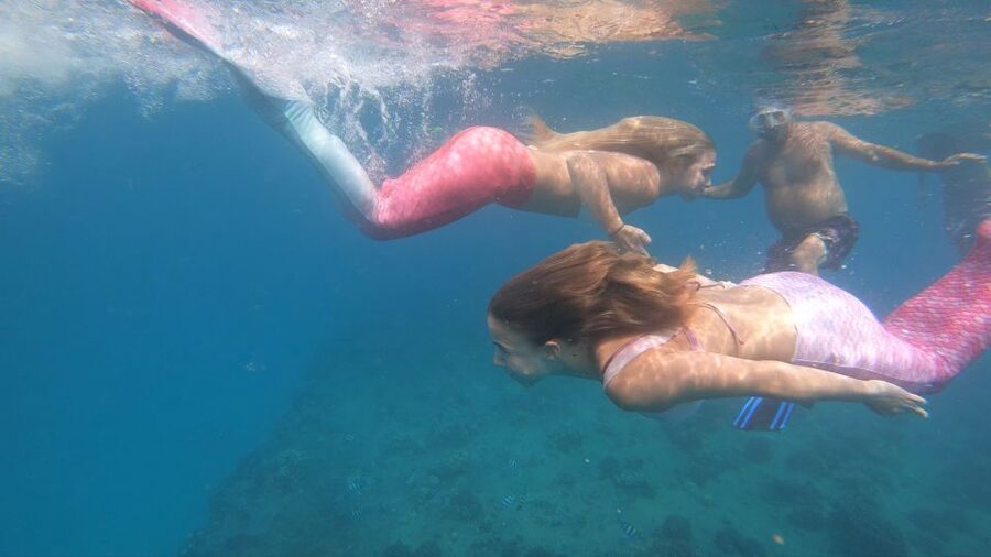 Oahu: Honolulu Mermaid Snorkel Adventure with Videos - The Main Water Segment: Snorkeling, Sea Life, and Short Video Moments