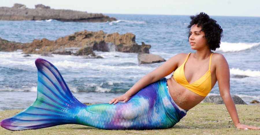 Oahu: Honolulu Mermaid Snorkel Adventure with Videos - Where It Starts at Picnic Area 37 (and What “Arrive Early” Really Means)