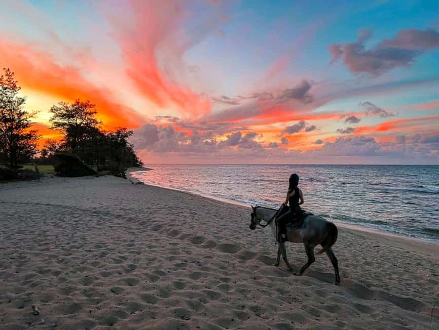 Oahu: Horseback Riding Tour on the North Shore - Key things I think you’ll care about most