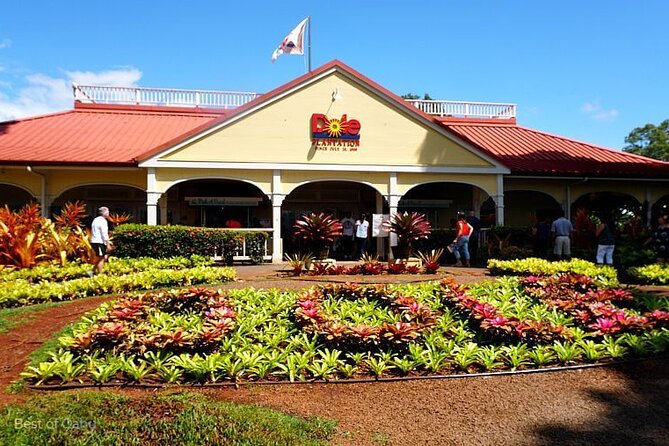 Oahu Island Tour, Dole plantation ,Northshore,VIP,PRIVATE - VIP comfort: what private transport changes on Oahu