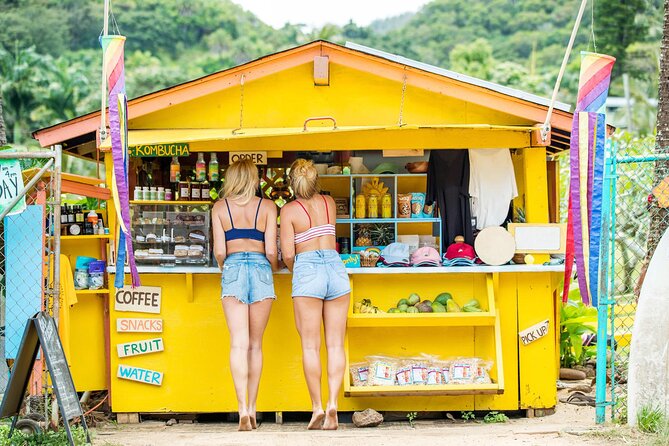 Oahu Island Tour, Dole plantation ,Northshore,VIP,PRIVATE - Mokoli‘i Island and Kualoa Ranch: coastline views with movie-industry energy