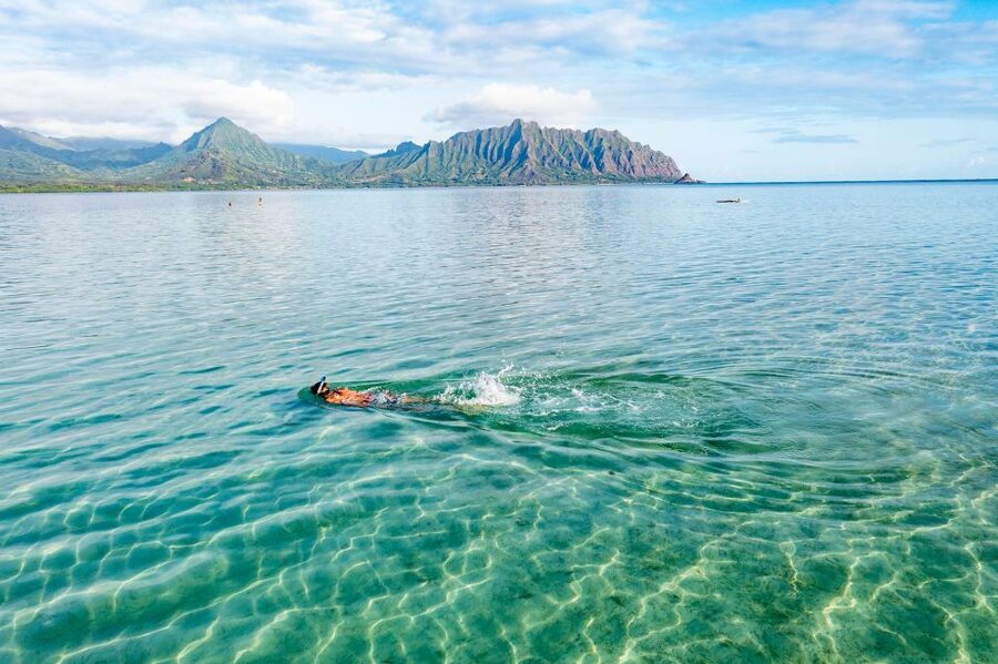 Oahu: Kaneohe Bay Coral Reef Kayaking Rental - Key highlights to look for