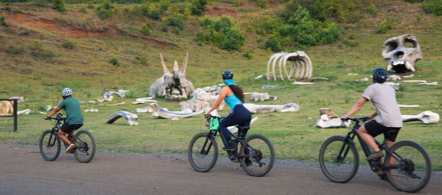 Oahu: Kualoa Electric Bike Tour - Key points you’ll care about