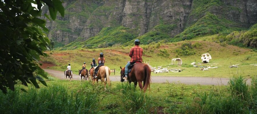 Oahu: Kualoa Hills and Valleys Horseback Riding Tour - Who This Tour Is Best For